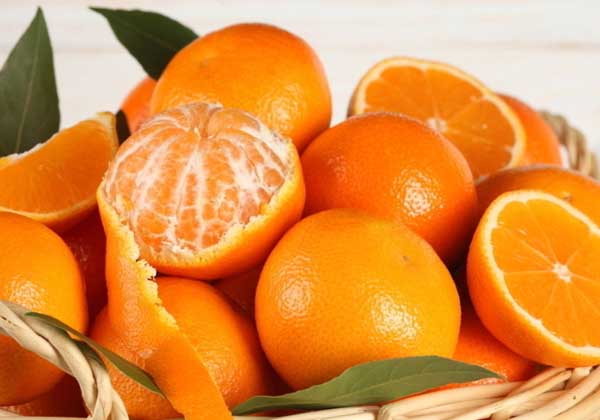 柑橘增产剂厂家 柑橘叶面肥批发 膨大叶面肥价格